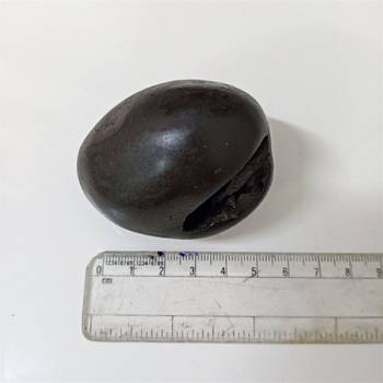 Gandaki River Natural Pradhyumna Shaligram Fossil Shila For Tulsi Puja Stone In Small Size (Max: 5 CM) 5