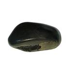 Gandaki River Natural Lord Shri Vishnu Shaligram Idol Shila For Worship Stone In Small Size (Max: 5 CM)