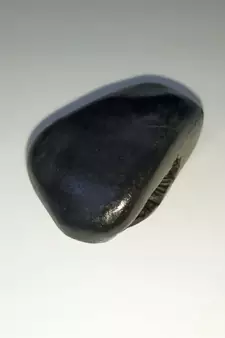 Gandaki River Natural Lord Shri Vishnu Shaligram Idol Shila For Worship Stone In Small Size (Max: 5 CM)