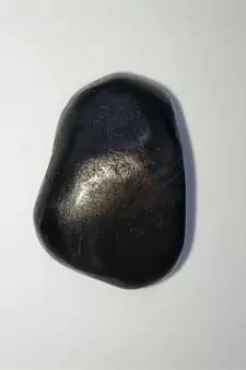 Gandaki River Natural Lord Shri Vishnu Shaligram Idol Shila For Worship Stone In Small Size (Max: 5 CM)