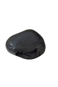 Genuine Gandaki River Swayambhu Shaligram Lord Shri Vishnu Idol For Tulsi Puja Stone In Small Size (Max: 5 CM)