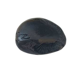 Gandaki River Shivanarayan Shaligram Idol Lord Shri Vishnu For Tulsi Puja Stone In Small Size (Max: 5 CM) 1