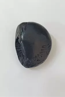 Gandaki River Shivanarayan Shaligram Idol Lord Shri Vishnu For Tulsi Puja Stone In Small Size (Max: 5 CM)