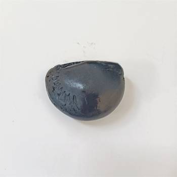 Gandaki River Shivanarayan Shaligram Idol Lord Shri Vishnu For Tulsi Puja Stone In Small Size (Max: 5 CM) 4