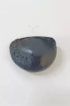 Gandaki River Shivanarayan Shaligram Idol Lord Shri Vishnu For Tulsi Puja Stone In Small Size (Max: 5 CM)