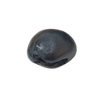 Genuine Laxmi Narayana Shaligram Idol Lord Shri Vishnu For Tulsi Puja Stone In Small Size (Max: 5 CM) 1