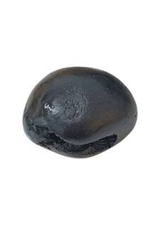 Genuine Laxmi Narayana Shaligram Idol Lord Shri Vishnu For Tulsi Puja Stone In Small Size (Max: 5 CM)