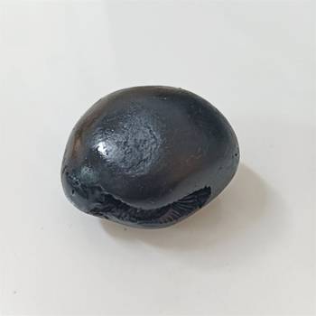 Genuine Laxmi Narayana Shaligram Idol Lord Shri Vishnu For Tulsi Puja Stone In Small Size (Max: 5 CM) 3