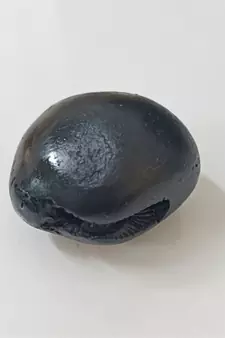 Genuine Laxmi Narayana Shaligram Idol Lord Shri Vishnu For Tulsi Puja Stone In Small Size (Max: 5 CM)