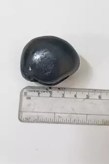 Genuine Laxmi Narayana Shaligram Idol Lord Shri Vishnu For Tulsi Puja Stone In Small Size (Max: 5 CM)