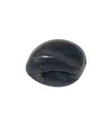 Nepal Gandaki River Govinda Shaligram Fossil Shila Idol For Tulsi Puja Stone In Small Size (Max: 5 CM)