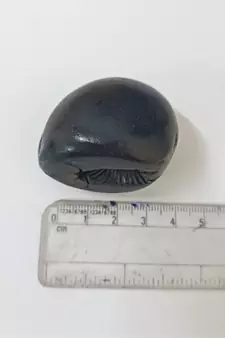 Nepal Gandaki River Govinda Shaligram Fossil Shila Idol For Tulsi Puja Stone In Small Size (Max: 5 CM)
