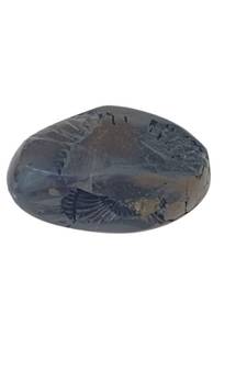 Nepal Gandaki River Natural Ananta Shaligram Bhagwan Shila For Tulsi Puja Stone In Small Size (Max: 5 CM)