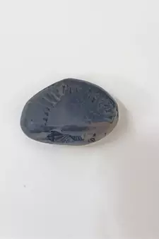 Nepal Gandaki River Natural Ananta Shaligram Bhagwan Shila For Tulsi Puja Stone In Small Size (Max: 5 CM)