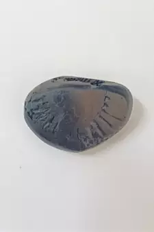 Nepal Gandaki River Natural Ananta Shaligram Bhagwan Shila For Tulsi Puja Stone In Small Size (Max: 5 CM)