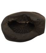 Genuine Keshav Shaligram Lord Shri Vishnu Shila Stone For Tulsi Puja In Medium Size (Max: 7 CM)