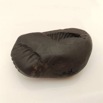 Genuine Keshav Shaligram Lord Shri Vishnu Shila Stone For Tulsi Puja In Medium Size (Max: 7 CM) 3
