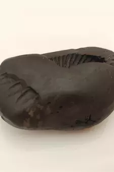 Genuine Keshav Shaligram Lord Shri Vishnu Shila Stone For Tulsi Puja In Medium Size (Max: 7 CM)