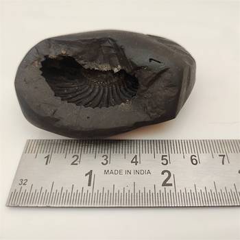 Genuine Keshav Shaligram Lord Shri Vishnu Shila Stone For Tulsi Puja In Medium Size (Max: 7 CM) 5