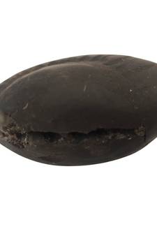 Genuine Gandaki River Harihar Shaligram Fossil For Tulsi Puja Stone In Medium Size (Max: 7 CM)