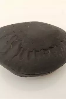 Genuine Gandaki River Harihar Shaligram Fossil For Tulsi Puja Stone In Medium Size (Max: 7 CM)