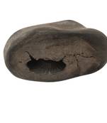 Gandaki River Swayambhu Shaligram Idol Lord Shri Vishnu Shila For Tulsi Puja In Medium Size (Max: 7 CM)