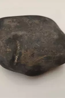 Gandaki River Swayambhu Shaligram Idol Lord Shri Vishnu Shila For Tulsi Puja In Medium Size (Max: 7 CM)