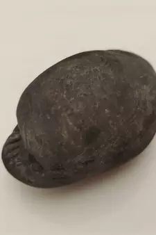 Natural Gandaki River Laxmipati Shaligram Lord Shri Vishnu Shila For Worship Medium Size (Max: 7 CM)