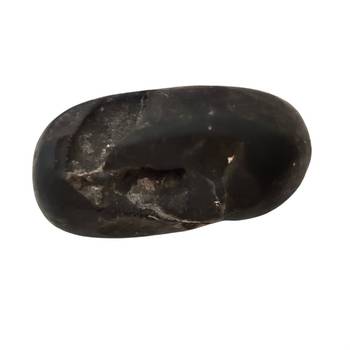 Nepal Gandaki River Govinda Shaligram Fossil Idol Lord Shri Vishnu For Puja In Medium Size (Max: 7 CM) 1