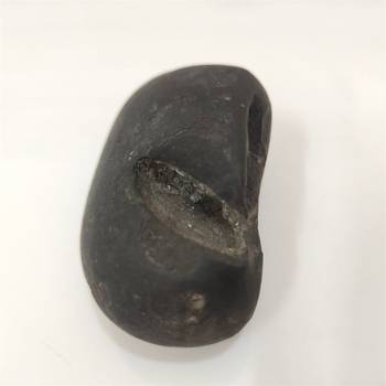 Nepal Gandaki River Govinda Shaligram Fossil Idol Lord Shri Vishnu For Puja In Medium Size (Max: 7 CM) 2