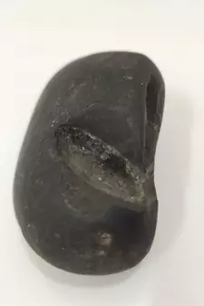 Nepal Gandaki River Govinda Shaligram Fossil Idol Lord Shri Vishnu For Puja In Medium Size (Max: 7 CM)