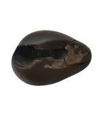 Nepal Gandaki River Vasudev Shaligram Shila Stone For Puja Stone In Medium Size (Max: 7 CM)