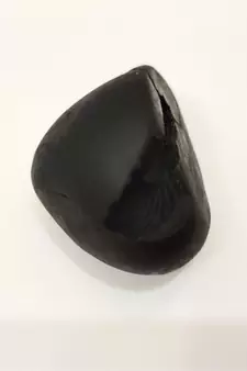 Nepal Gandaki River Vasudev Shaligram Shila Stone For Puja Stone In Medium Size (Max: 7 CM)