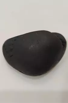 Nepal Gandaki River Vasudev Shaligram Shila Stone For Puja Stone In Medium Size (Max: 7 CM)