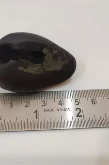 Nepal Gandaki River Vasudev Shaligram Shila Stone For Puja Stone In Medium Size (Max: 7 CM)
