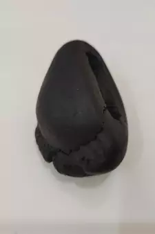 Natural Gandaki River Ananta Shaligram Bhagwan Shila For Tulsi Puja Medium Size (Max: 7 CM)