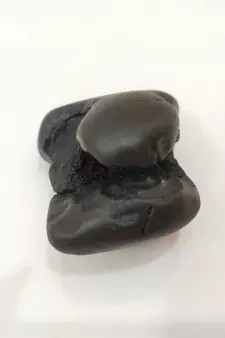 Original Gandaki River Harihar Shaligram Lord Shri Vishnu Shila For Worship Medium Size (Max: 7 CM)