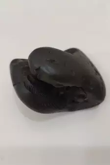 Original Gandaki River Harihar Shaligram Lord Shri Vishnu Shila For Worship Medium Size (Max: 7 CM)