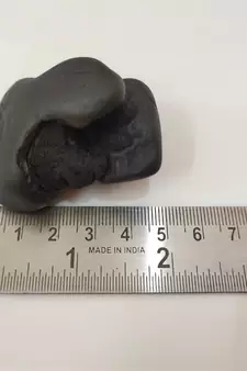 Original Gandaki River Harihar Shaligram Lord Shri Vishnu Shila For Worship Medium Size (Max: 7 CM)