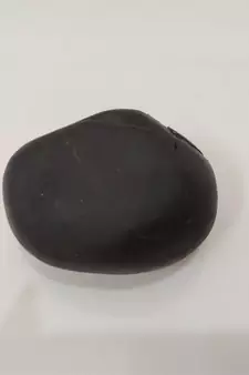 Nepal Gandaki River Laxmipati Shaligram Fossil For Tulsi Puja Stone In Medium Size (Max: 7 CM)