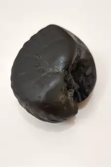 Natural Gandaki River Maytsya Shaligram Shila Stone For Shri Vishnu Puja In Medium Size (Max: 7 CM)