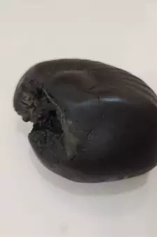 Natural Gandaki River Maytsya Shaligram Shila Stone For Shri Vishnu Puja In Medium Size (Max: 7 CM)