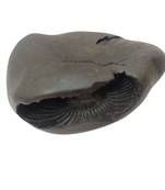 Nepal Gandaki River Pitambara Shaligram Lord Shri Vishnu Idol For Puja Stone In Medium Size (Max: 7 CM)