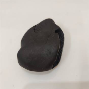 Nepal Gandaki River Pitambara Shaligram Lord Shri Vishnu Idol For Puja Stone In Medium Size (Max: 7 CM) 2