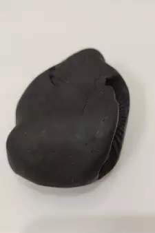 Nepal Gandaki River Pitambara Shaligram Lord Shri Vishnu Idol For Puja Stone In Medium Size (Max: 7 CM)