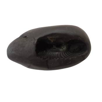 Nepal Gandaki River Pradhyumna Shaligram Idol Lord Shri Vishnu For Tulsi Puja Medium Size (Max: 7 CM) 1