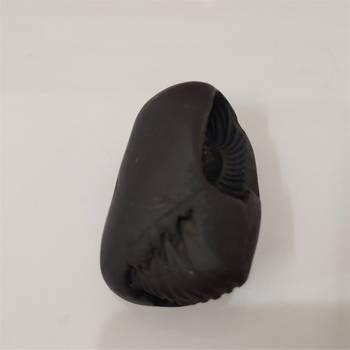 Nepal Gandaki River Pradhyumna Shaligram Idol Lord Shri Vishnu For Tulsi Puja Medium Size (Max: 7 CM) 2