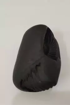 Nepal Gandaki River Pradhyumna Shaligram Idol Lord Shri Vishnu For Tulsi Puja Medium Size (Max: 7 CM)