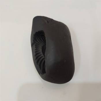 Nepal Gandaki River Pradhyumna Shaligram Idol Lord Shri Vishnu For Tulsi Puja Medium Size (Max: 7 CM) 4