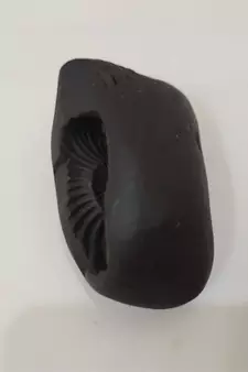 Nepal Gandaki River Pradhyumna Shaligram Idol Lord Shri Vishnu For Tulsi Puja Medium Size (Max: 7 CM)